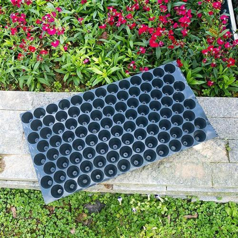 玉米育苗盘 49731011蔬瓜果育苗塑料pv圆孔穴 100孔盘辣菜椒哈密c