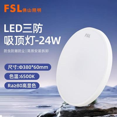 佛山照明炫丽三防LED吸顶灯防潮防尘防虫全白圆形超薄12W24w白光