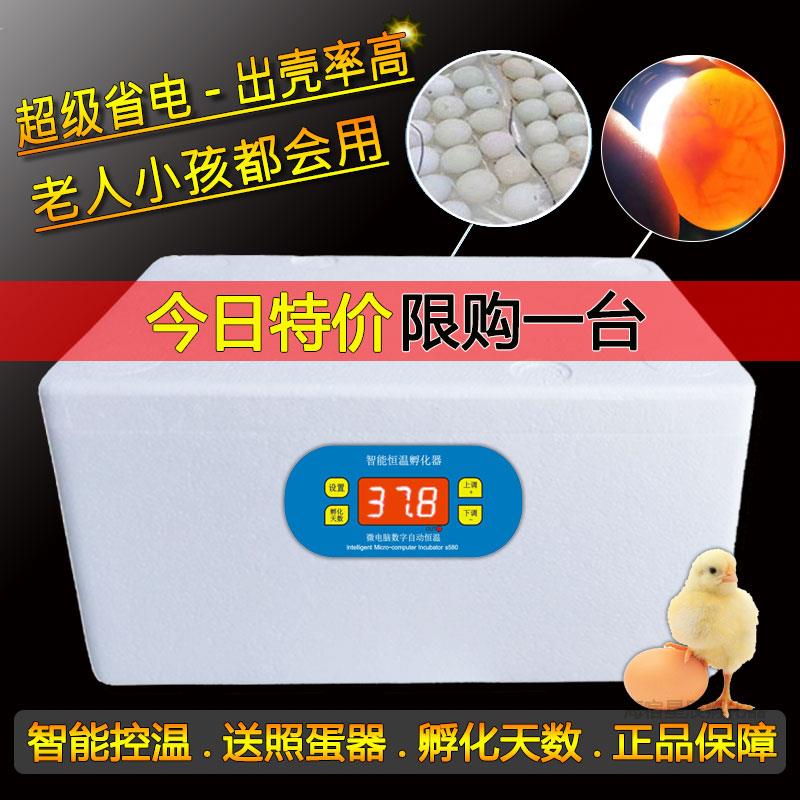 孵蛋器水床小鸡蛋芦丁孵化器小型机器家用全自动智能孵化箱孵化机