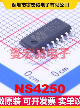 NS4250 SOP-16 音频放大器芯片IC