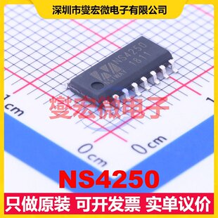 NS4250 SOP-16 音频放大器芯片IC