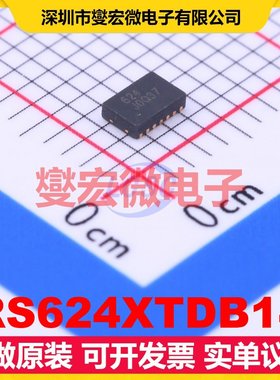 RS624XTDB14 TDFN-14-EP(2x3) 运算放大器芯片IC