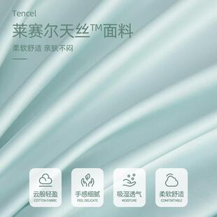 100S莱尔天丝床单单纯赛色夏件季冰丝睡凉感薄裸被单枕SBS20230套