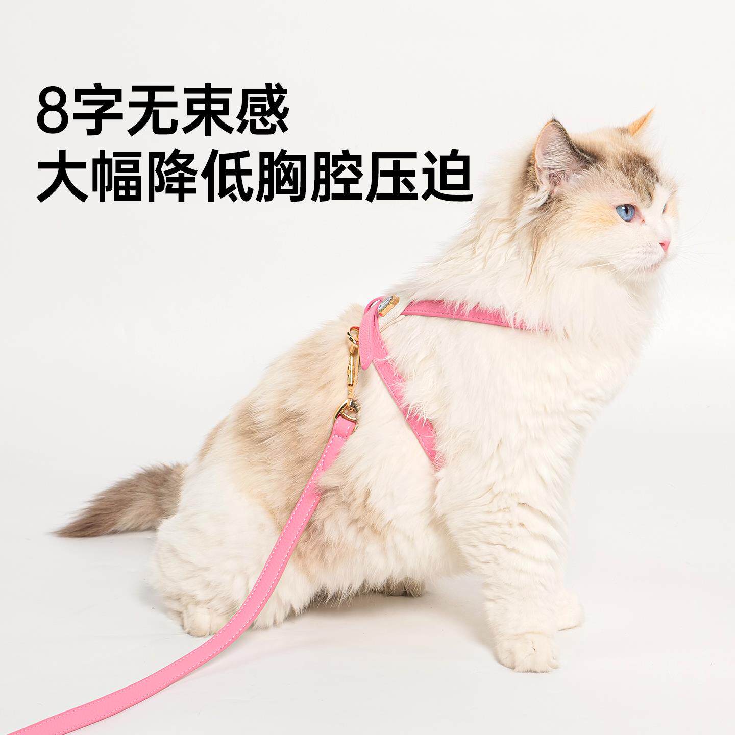 ouchdog它T它猫牵咪胸脖背牵引绳猫绳防挣脱Touchdog不勒遛猫猫绳