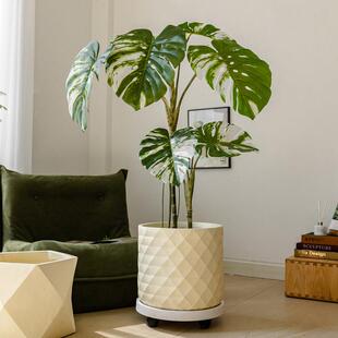 简约轻高级感菱镁泥奢花形盆客大号绿植龟背芋TC40245阳台室内厅