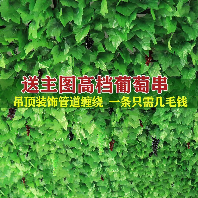 速发水管装饰葡萄叶花假藤条藤蔓植物树叶绿叶道吊顶塑叶绿萝料子