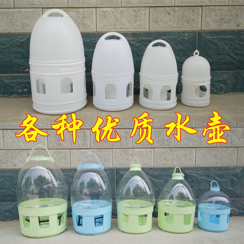 速发鸽具水壶 信鸽鸽子水饮器用信鸽赛鸽 品水槽加厚优质水壶免邮