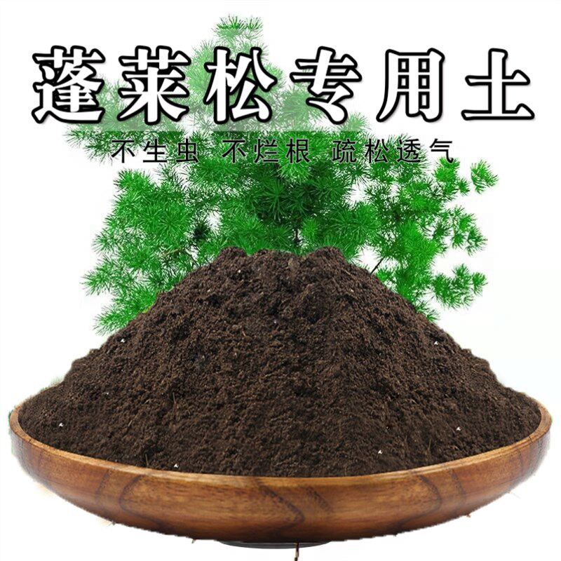 速发蓬莱松土松叶文竹土栽营养有室内绿植花卉通用型盆机土肥料