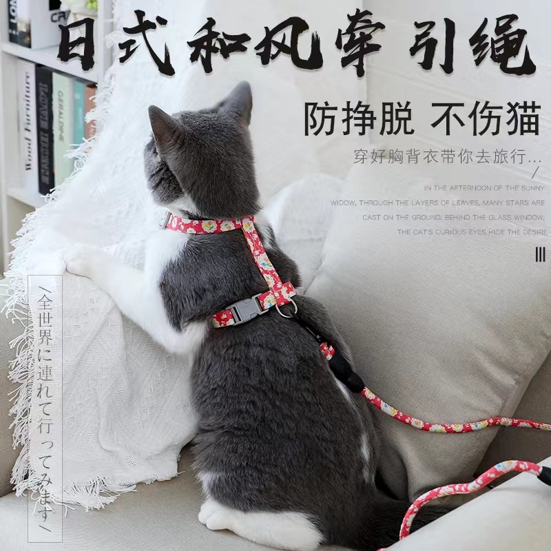 速发猫日工字防背带咪式和风胸挣脱溜猫绳子幼猫链子外出用品