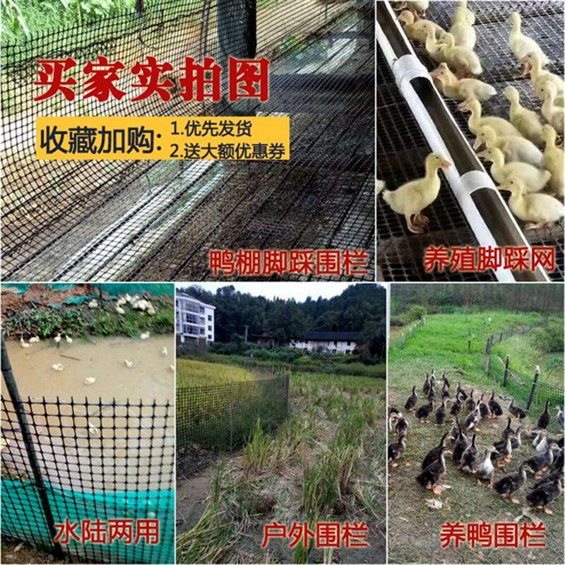 速发塑料家鸡丝网网格防护菜园胶围外土工格栅户栏胶网养禽网养殖