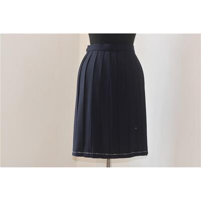 24褶纯色女生校服百褶裙JVWZ 春绀色秋K制裙款 SWALLOWJK品牌服设