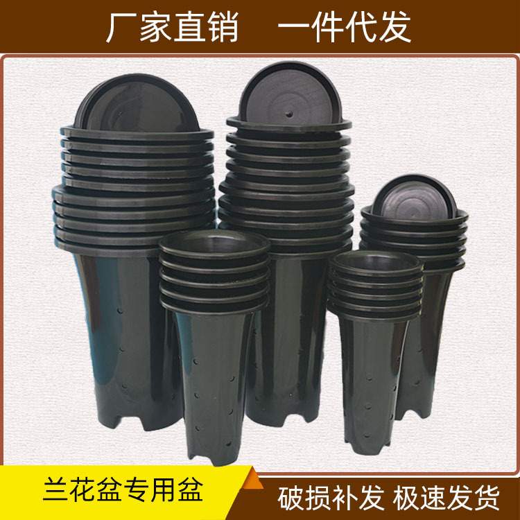 兰花塑料花盆高脚透气黑色国兰龙岩素小盆栽绿植园艺育苗厂价直批