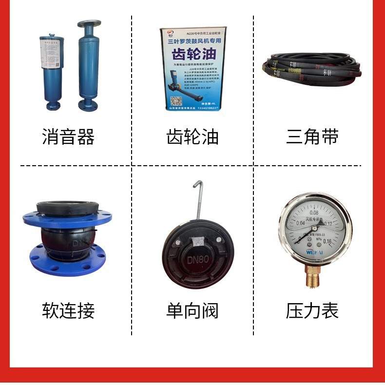 三叶罗茨鼓风机DASR100主机水产养殖污水处理脱硫脱硝水分离