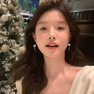 【我的脸很圆】秋冬冰雪星河银色锆石雪花耳环简约修饰脸型耳圈女