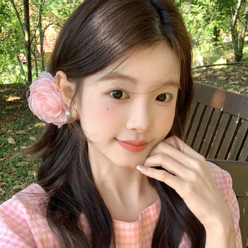 【我的脸很圆】超仙网纱花朵抓夹早春氛围感粉色盘发甜美鲨鱼夹女