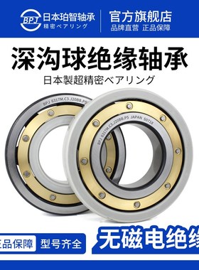 BPJ日本进口轴承6319M铜保高载荷深沟球绝缘轴承6322大型轴承大全