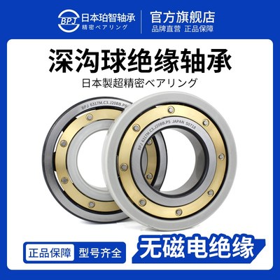 BPJ日本进口轴承6319M铜保高载荷深沟球绝缘轴承6322大型轴承大全