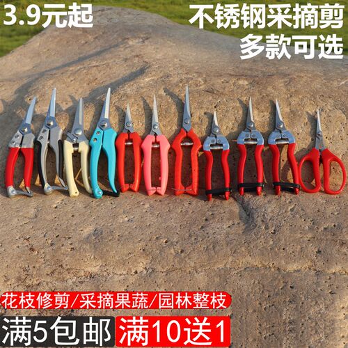 摘果剪稀果剪SK5钢镀硬铬翘头剪园林剪果树整枝剪采摘剪修枝剪
