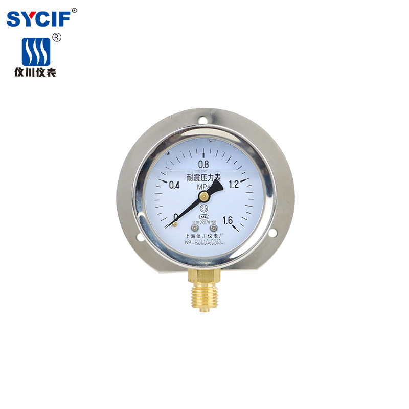 上海仪川船用耐震防震压力表凸装式 YN-100T 气R压液压 径向带后