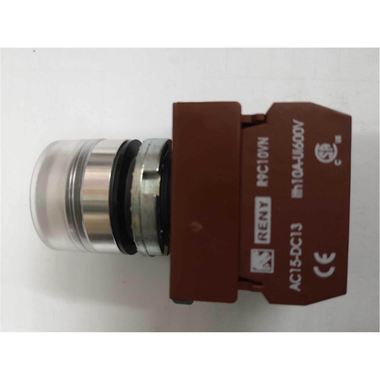 R9C10VN 台湾雷力reny 22mm金属平头带灯按钮1常开 LED灯泡 RAPIF