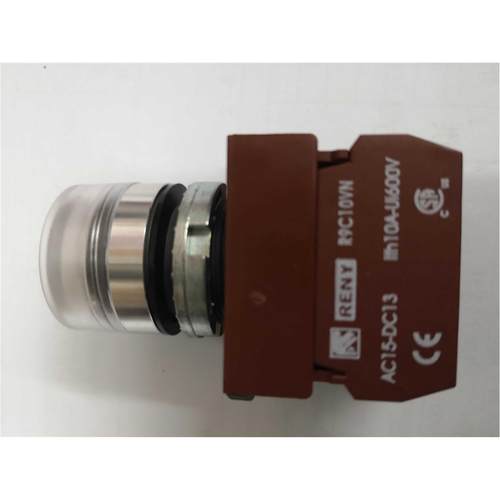R9C10VN 台湾雷力reny 22mm金属平头带灯按钮1常开 LED灯泡 RAPIF