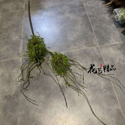 仿真树藤树枝树杈攀爬树枝枯藤枯树枝苔藓青苔造景森林陈列花艺