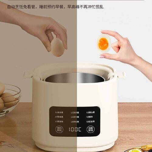 2026新款煮蛋器全自动断电蒸蛋器家用迷你小型蒸煮一体机煮蛋神器