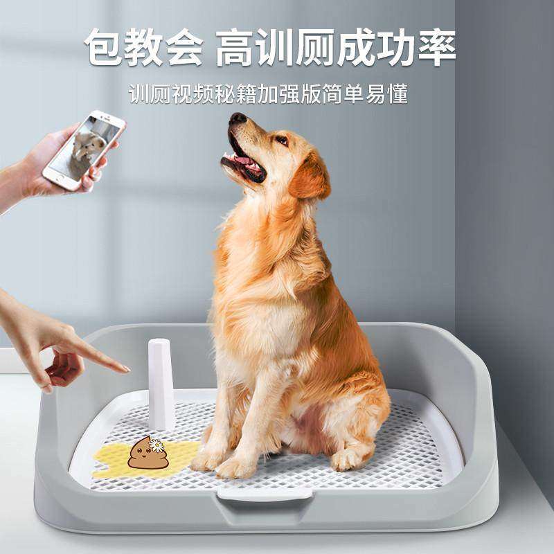 宠物狗狗厕所自动便尿尿盆清理用品大全大型中型小型犬防踩屎专用,宠物/宠物食品及用品,狗厕所,淘宝优惠券,粉丝福利购,淘宝优惠卷