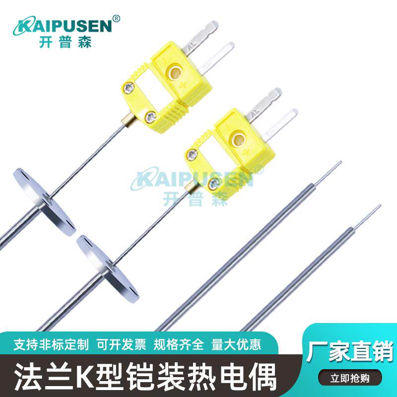 定制法兰铠装热电偶管道真空炉测温传感器耐高温探针型插头dn25