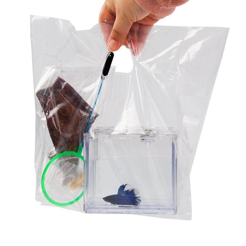 克泰赏国进摆口斗鱼热带观鱼斗鱼地摊小型亚力鱼缸半月摊斗鱼摆摊