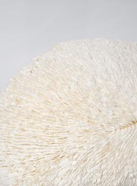 珊瑚摆件海印象现代轻奢新中式酒店样板房售楼处客厅书装饰品