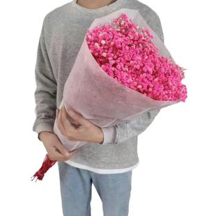 永生满天星大束满天星花束永生花满天星干花花材真花干花花束