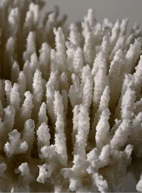 现代简约极简几何仿真珊瑚树脂摆件样板间售楼处装饰艺术家居