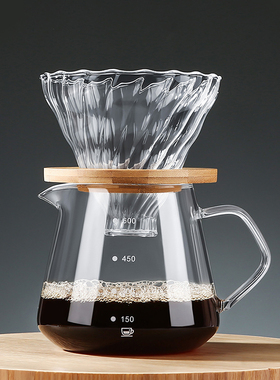 Glass Coffee Pot Hand Brewed Drip Pour Over Coffee Filter