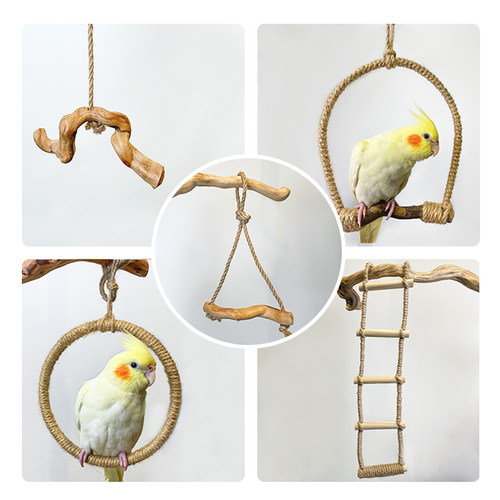 虎皮牡丹太和玄凤鹦鹉鸟玩具
