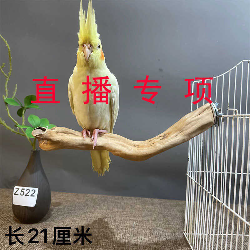 原木鹦鹉小鸟站架手串收纳装饰