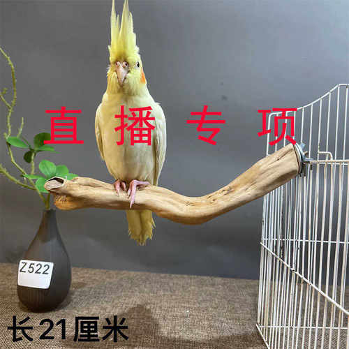 原木鹦鹉小鸟站架手串收纳装饰