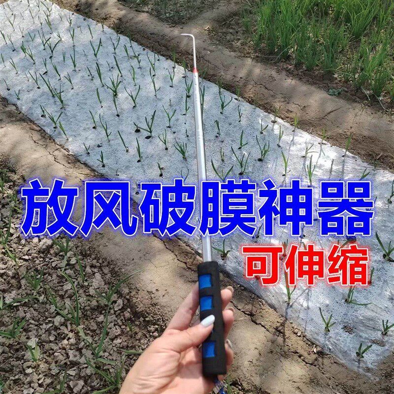 极速种蒜神器种大蒜神器大蒜打眼神器菜苗育苗盘豆芽发芽盆神器蒜