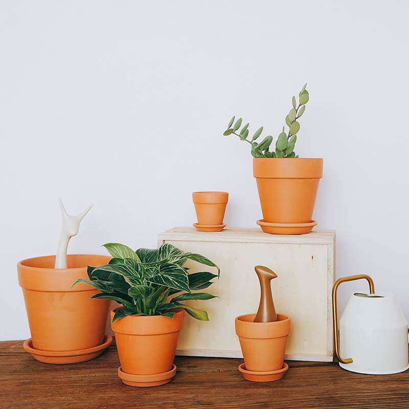 极速新疆西藏包邮国际红陶花盆透气多肉育苗小盆栽老式陶土泥瓦粗