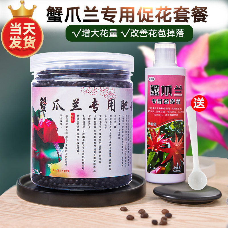 极速蟹爪兰专用营养液专用肥蟹爪莲肥料螃蟹兰专用植物盆栽催花养