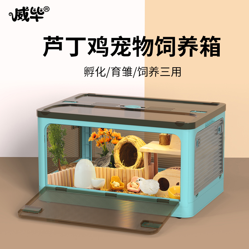 芦丁鸡饲养箱观赏专用笼子鸡窝全套造景用品宠物保温盒卢丁鸡房子