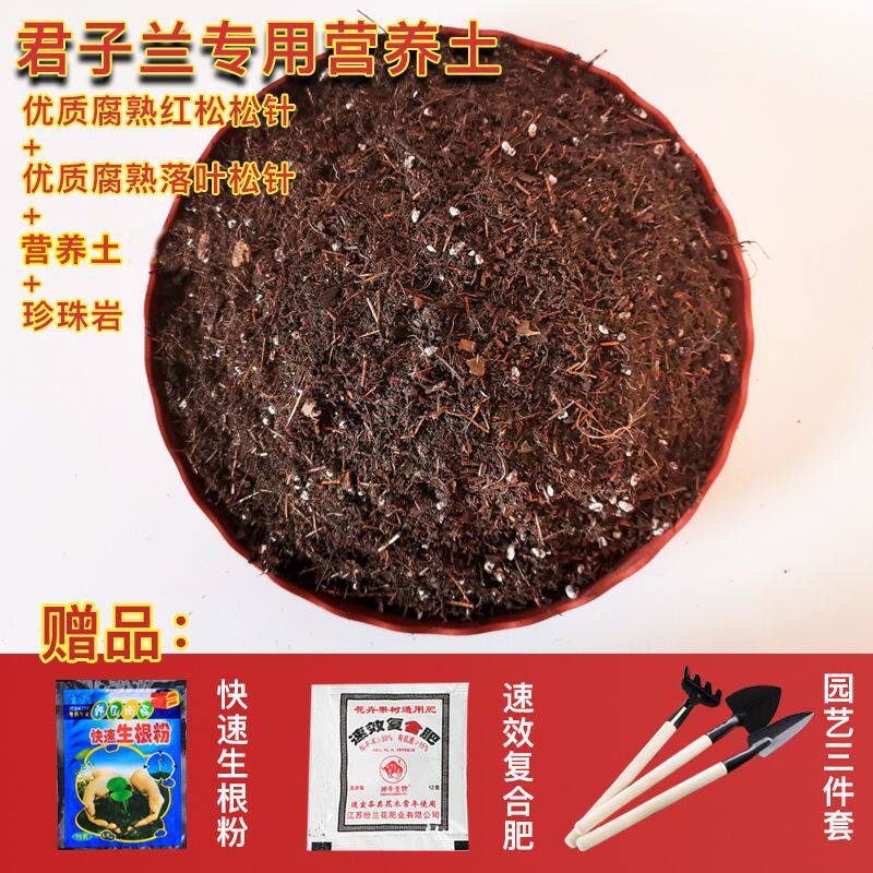 极速松针土君子兰专用土绿萝兰花土文竹芦荟专用土种菜养花通用营