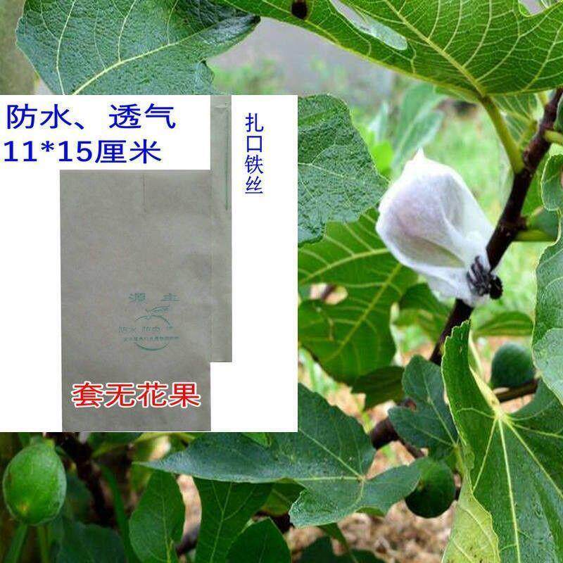 极速无花果专用套袋纸袋草莓樱桃李子黑布朗百香果圣女果袋防水虫