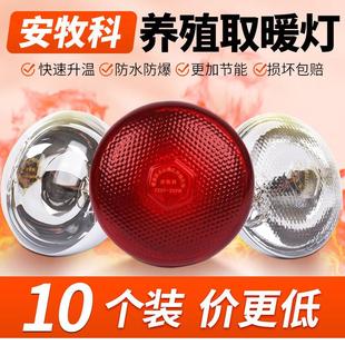 保温灯养殖场专用取暖灯泡红外线加热猪仔小鸡舍取暖器畜牧保温灯