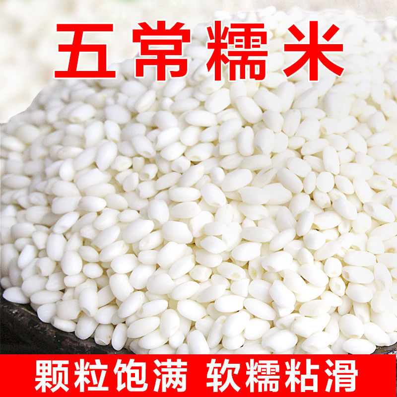 东北五常圆糯米新米包粽子专用农家白江米紫糯米酒血糯米饭旗舰店