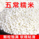东北五常圆糯米新米包粽子专用农家白江米紫糯米酒血糯米饭旗舰店