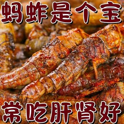 超低价】新鲜油炸蚂蚱五香即食零食香辣油炸蝗虫下酒菜解馋虫子