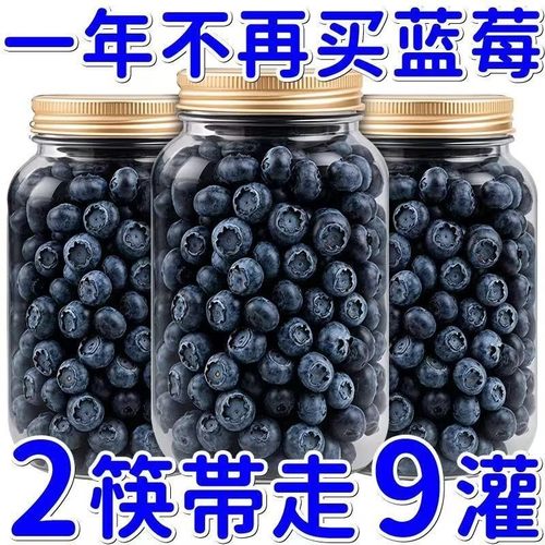 蓝莓干无糖无添加儿童孕妇代餐食品东北野生新鲜蓝梅干润喉糖批发