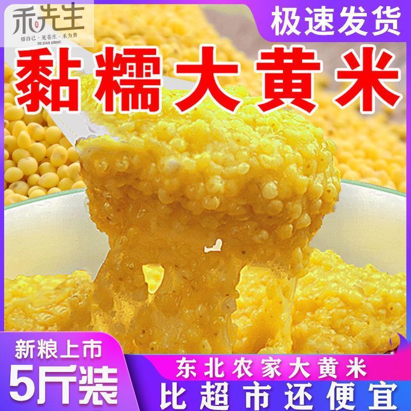 ZL东北粘大黄米5斤农家2斤粘糯软黄米包粽子粘豆包黏米饭新米黍米