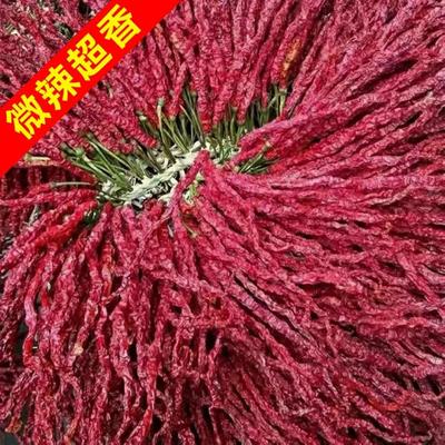 速发特香辣椒大方皱椒线椒 二荆条干辣椒段 贵州特产辣椒粉辣椒面